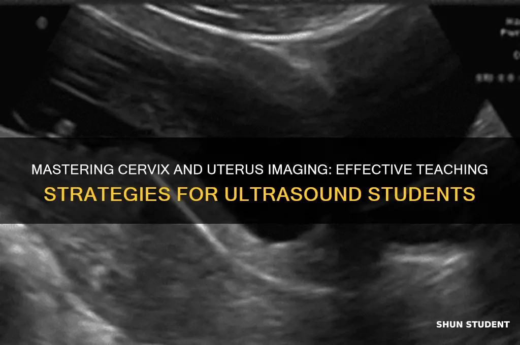how to teach ultrasound students about imaging cervix and uterus