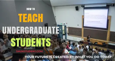 Effective Strategies for Engaging and Teaching Undergraduate Students Successfully