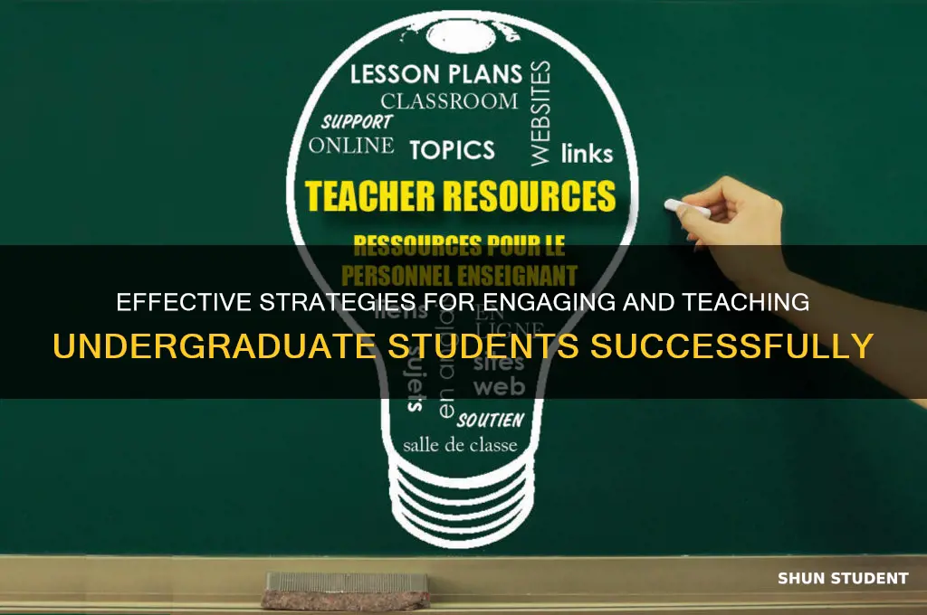 how to teach undergraduate students