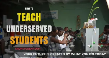 Empowering Underserved Students: Strategies for Inclusive and Effective Teaching