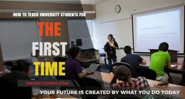 Teaching University Students: A Beginner's Guide