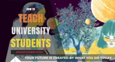 Effective Strategies for Engaging and Teaching University Students Successfully