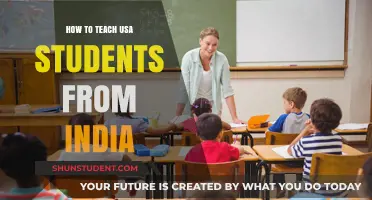 Teaching US Students: Strategies for Indian Educators to Bridge Cultures