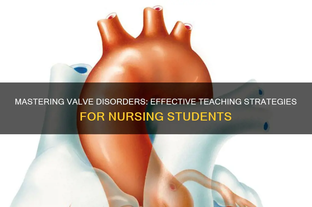 how to teach valve disorders to nursing students