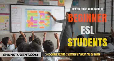 Mastering the Verb 'To Be': Effective Strategies for Beginner ESL Learners