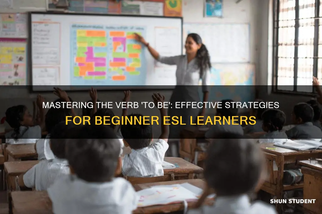how to teach verb to be to beginner esl students