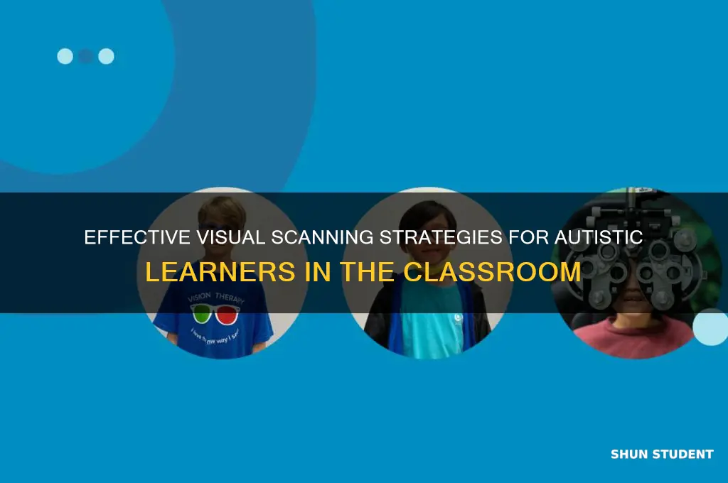 how to teach visual scanning for autistic students