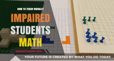 Empowering Visually Impaired Learners: Effective Strategies for Teaching Math