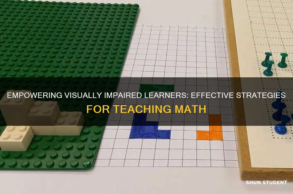 how to teach visually impaired students math