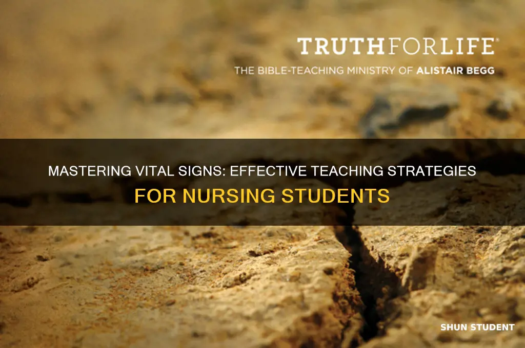 how to teach vital signs to nursing students