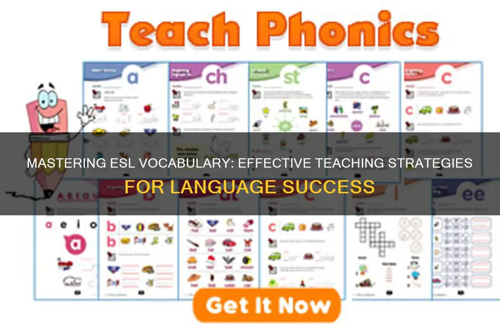 how to teach vocabulary effectively to esl students