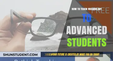 Advanced Vocabulary Teaching: Strategies for Engaging and Expanding Word Knowledge