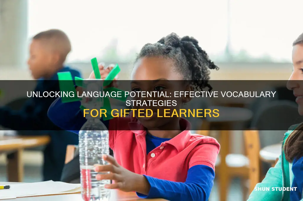 how to teach vocabulary to gifted students