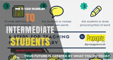Effective Strategies for Teaching Vocabulary to Intermediate Language Learners