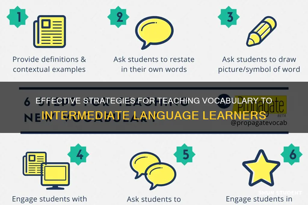 how to teach vocabulary to intermediate students