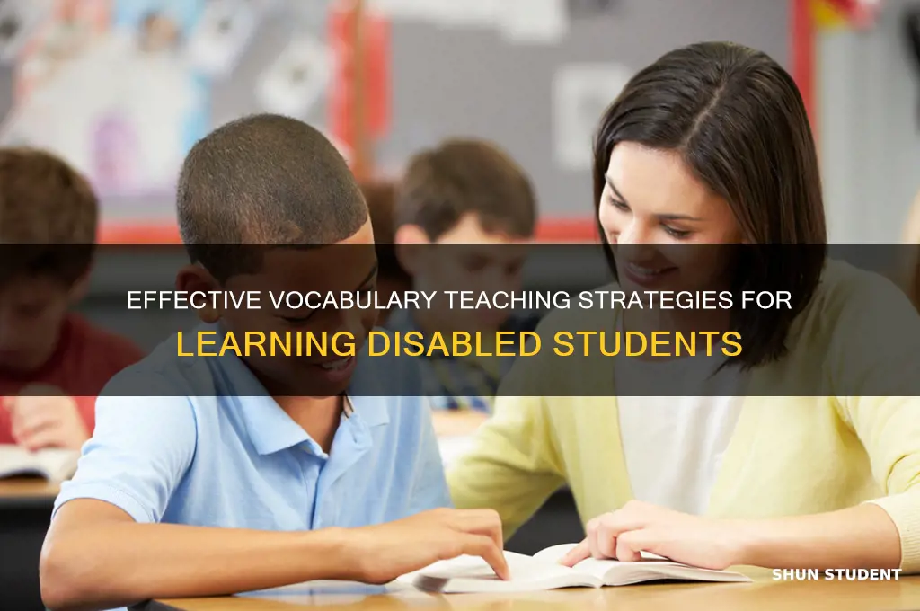 how to teach vocabulary to learning disabled students