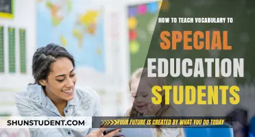 Effective Vocabulary Teaching Strategies for Special Education Students