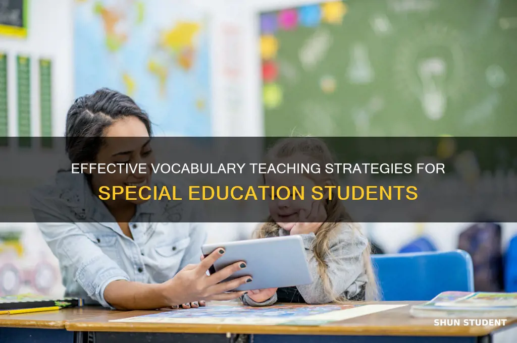 how to teach vocabulary to special education students