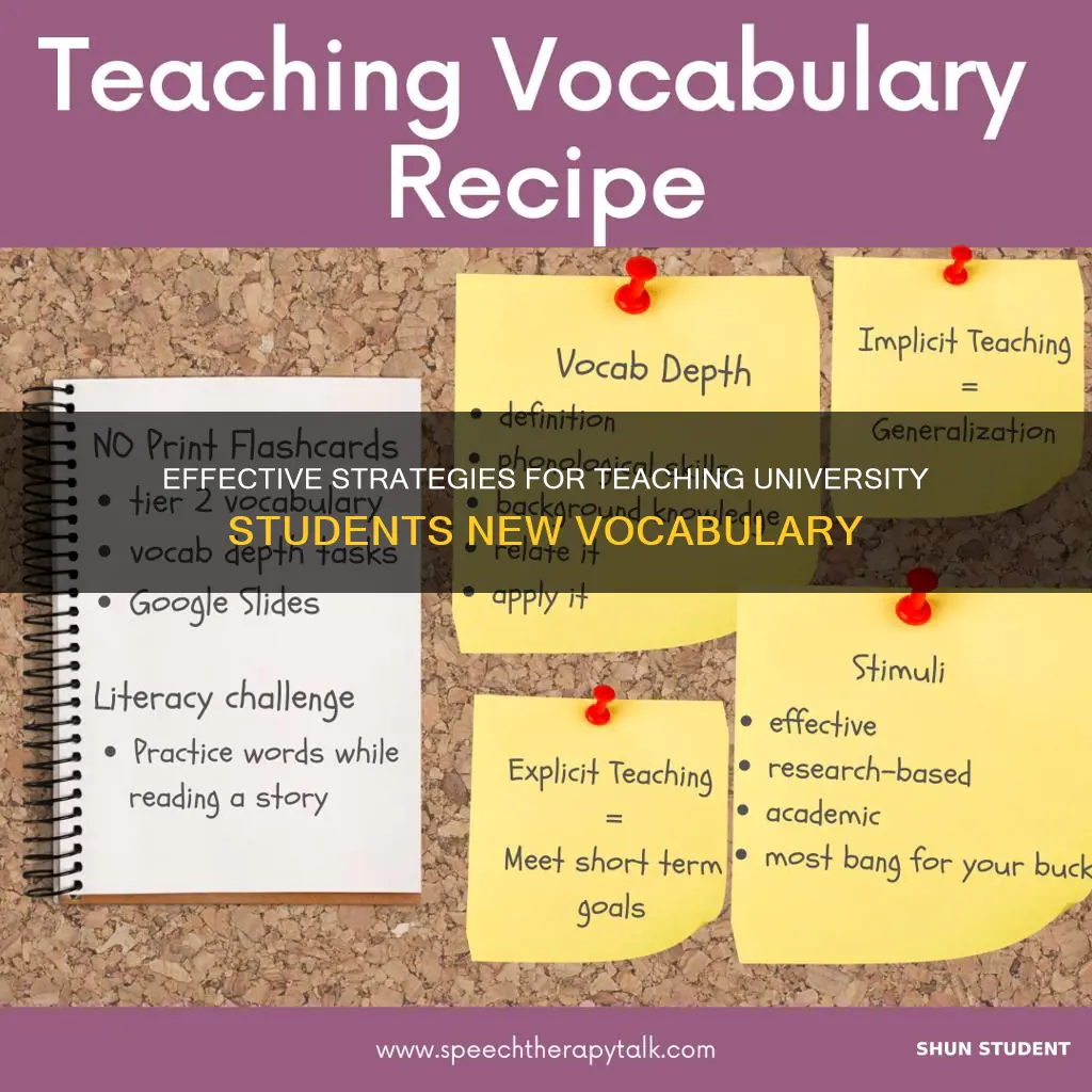 how to teach vocabulary to university students
