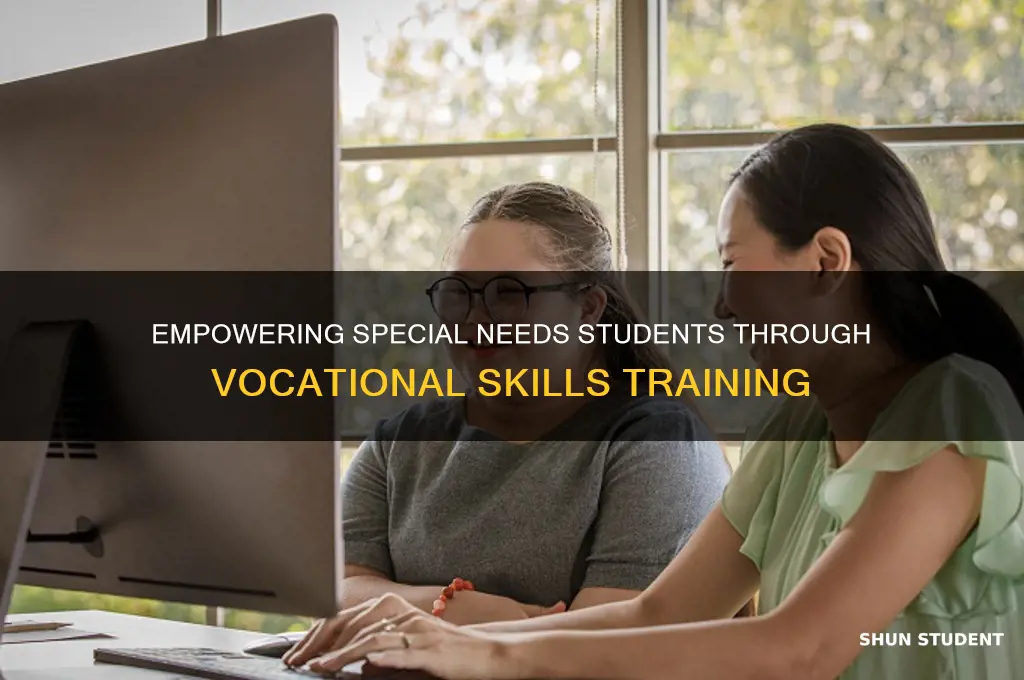 how to teach vocational skills to special needs students