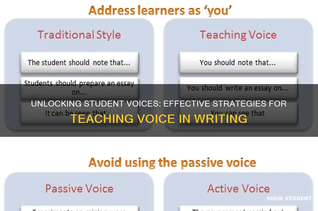 how to teach voice in student writing