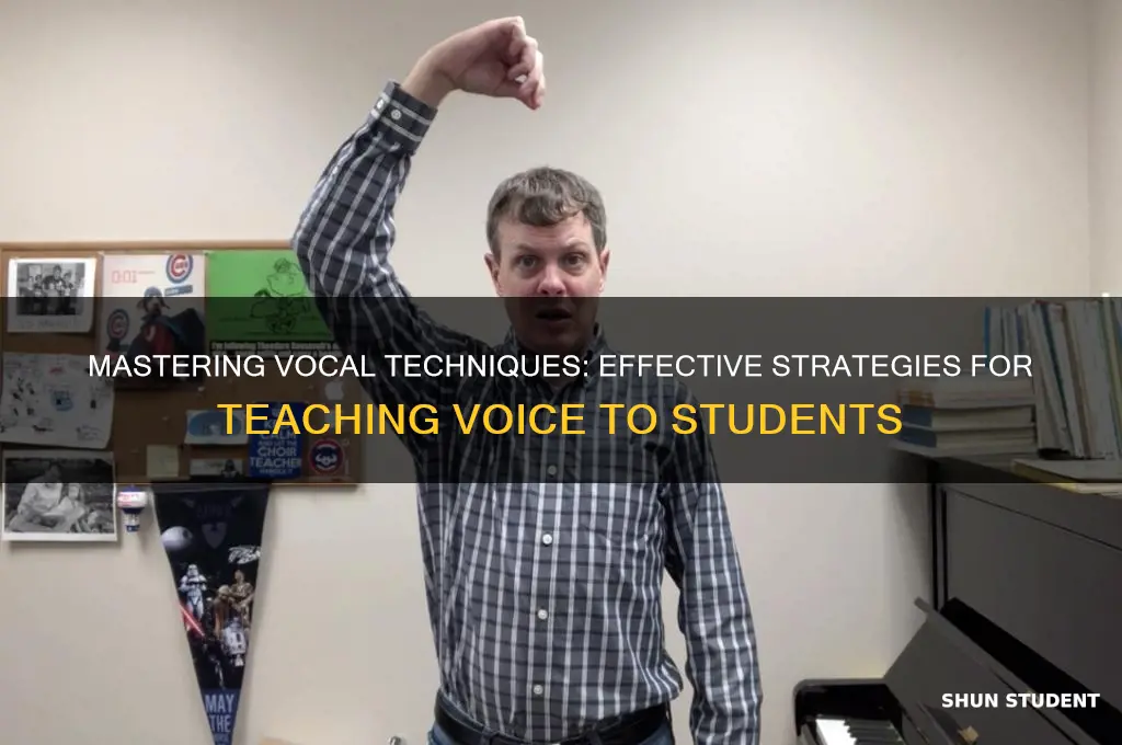 how to teach voice to students