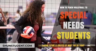 Inclusive Volleyball: Teaching Special Needs Students with Care and Creativity