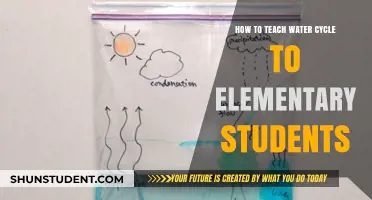 Fun Ways to Teach the Water Cycle to Young Learners