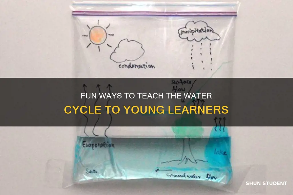 how to teach water cycle to elementary students