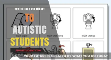 Teaching Wet and Dry Concepts to Autistic Learners: Effective Strategies