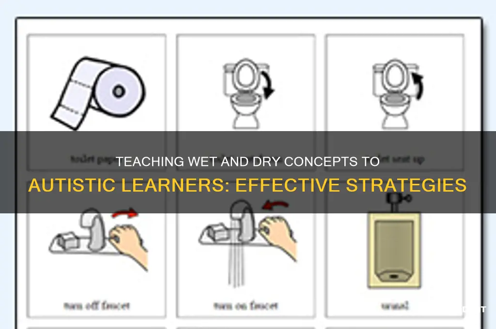 how to teach wet and dry to autistic students