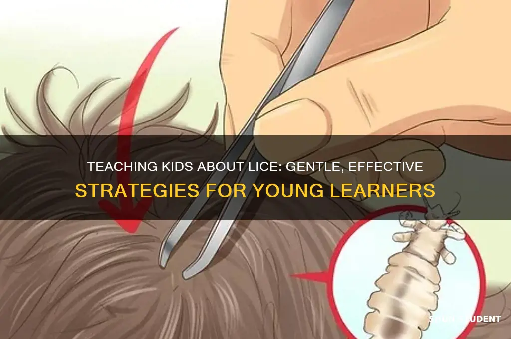 how to teach young students about lice
