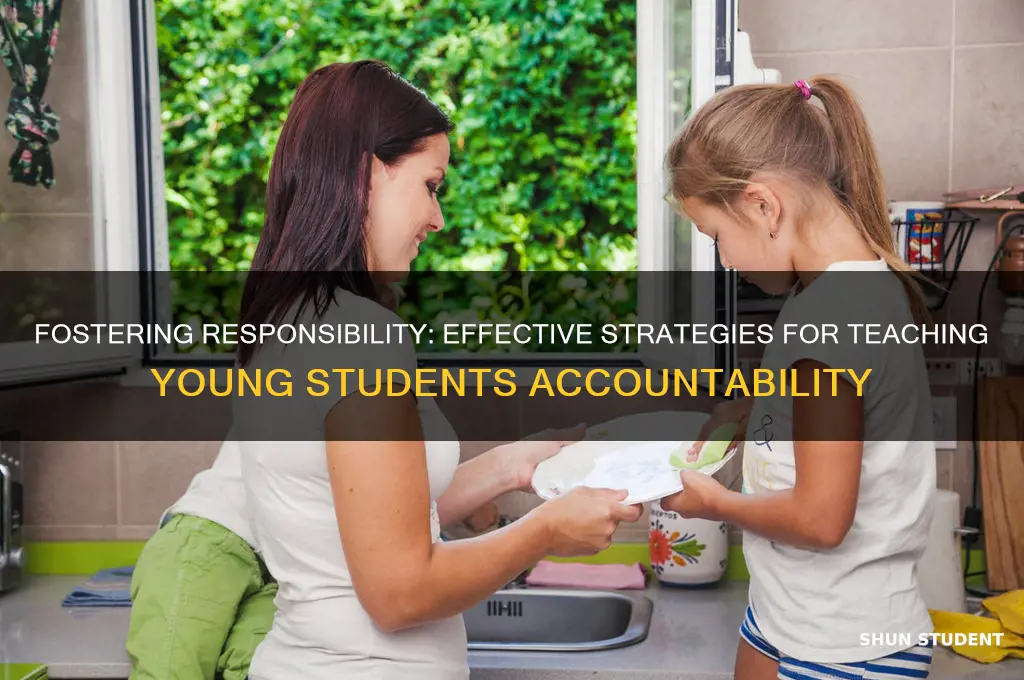 how to teach young students accountability