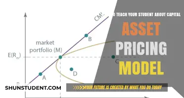 Mastering CAPM: A Student's Guide to Capital Asset Pricing Model