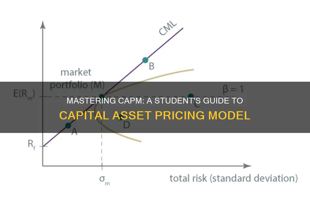 how to teach your student about capital asset pricing model