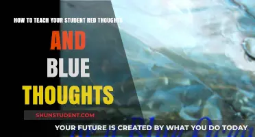 Teaching Emotional Awareness: Red and Blue Thoughts for Students