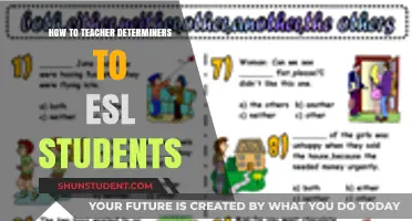 Mastering Determiners: Effective Strategies for Teaching ESL Students