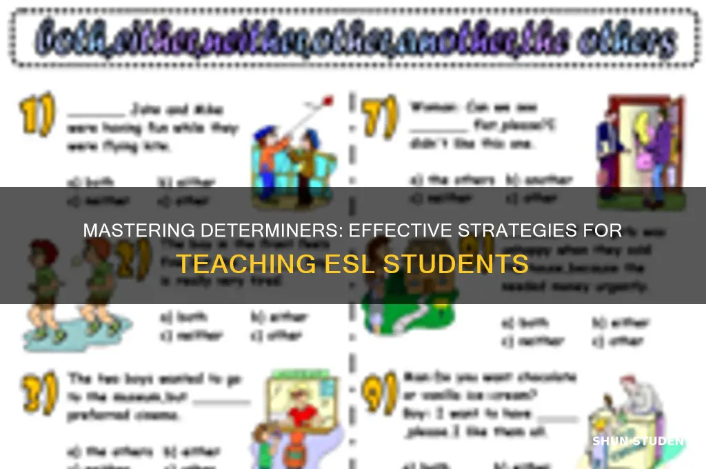 how to teacher determiners to esl students