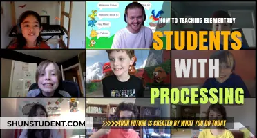 Teaching Elementary Students with Processing: Creative Coding Strategies for Young Learners