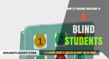 Tactile Strategies for Teaching Fractions to Blind Students Effectively
