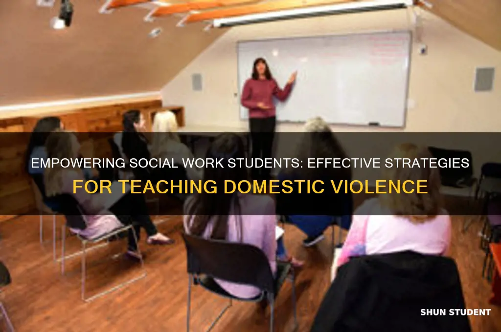 how to teaching social work students domestic violence