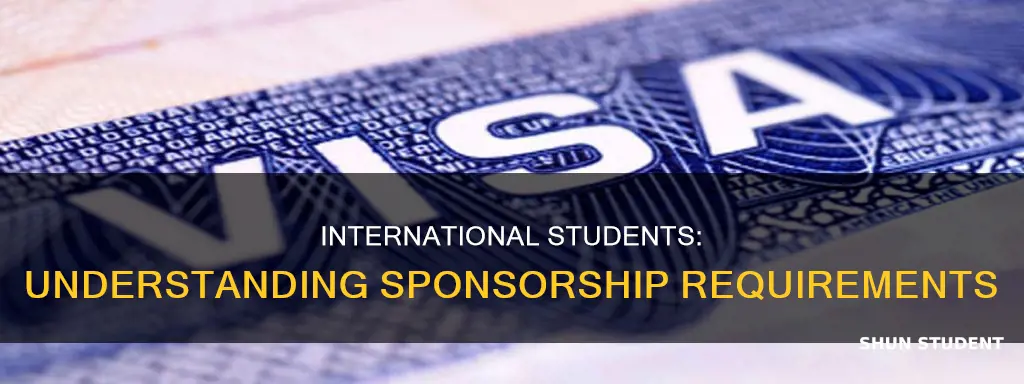 how to technically answere do you need sponsership international students