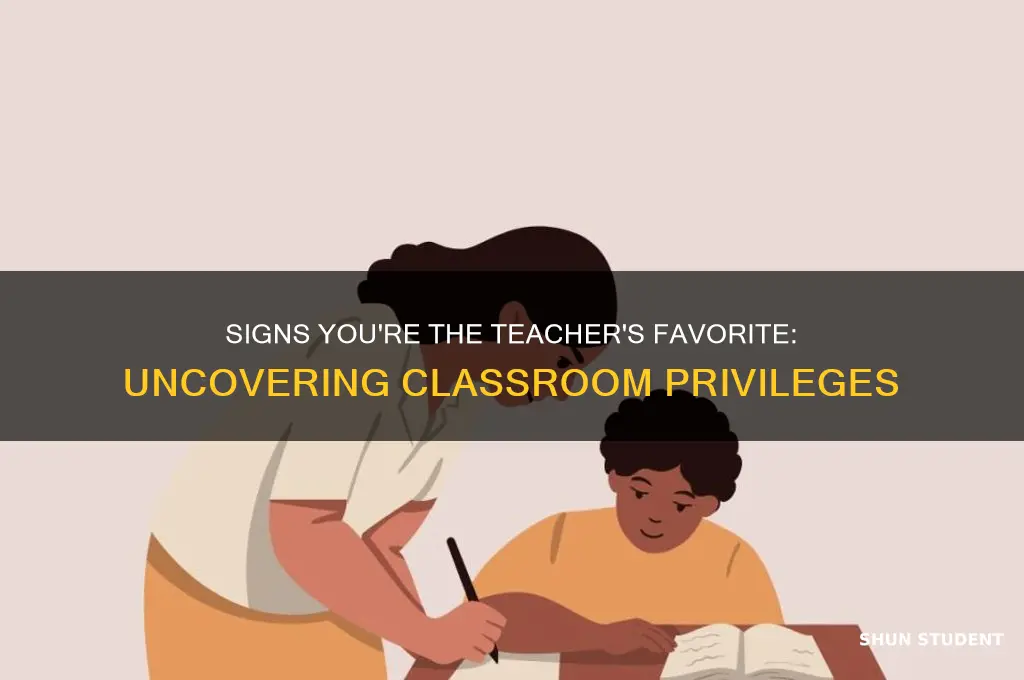 how to tell if your a teacher