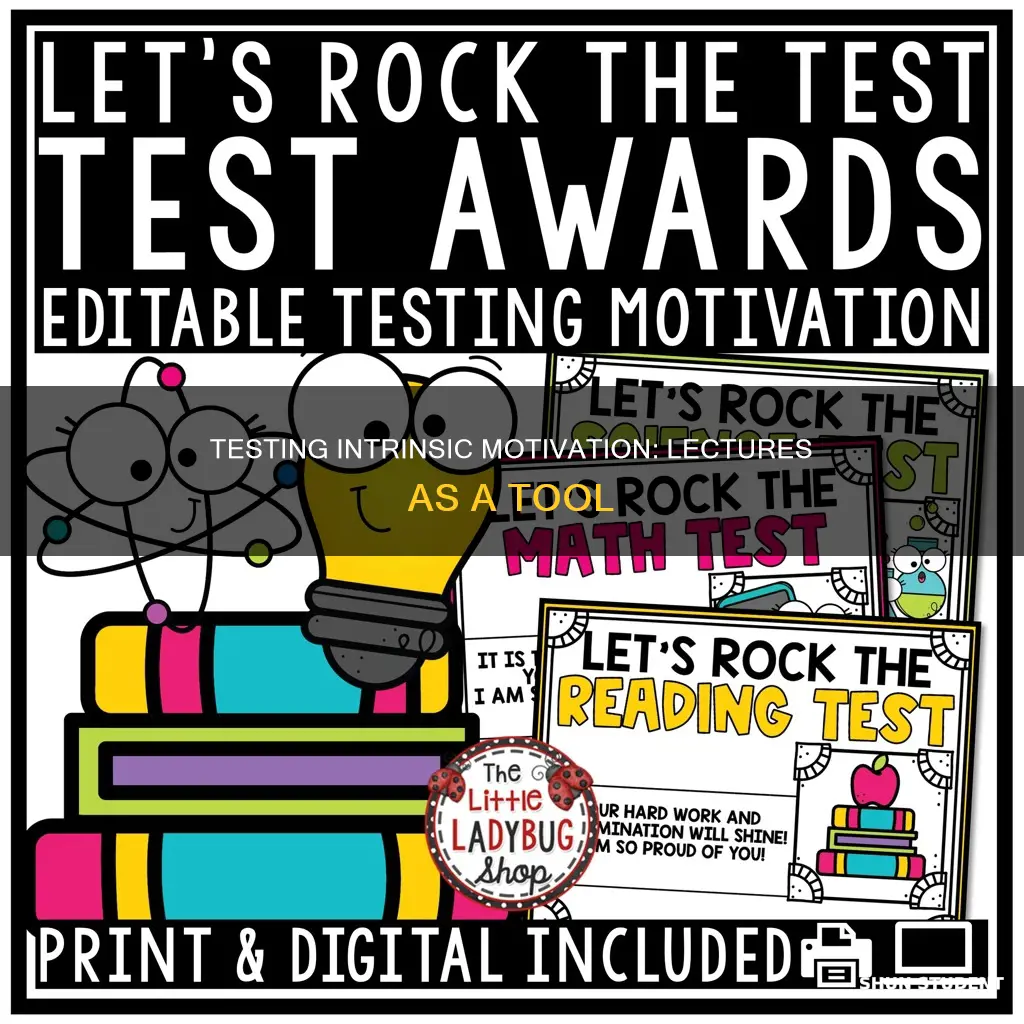 how to test a students internal motivation with a lecture