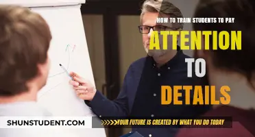 Mastering Focus: Effective Strategies to Train Students in Detail Attention