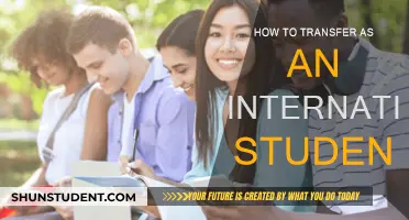 Transferring as an International Student: A Guide