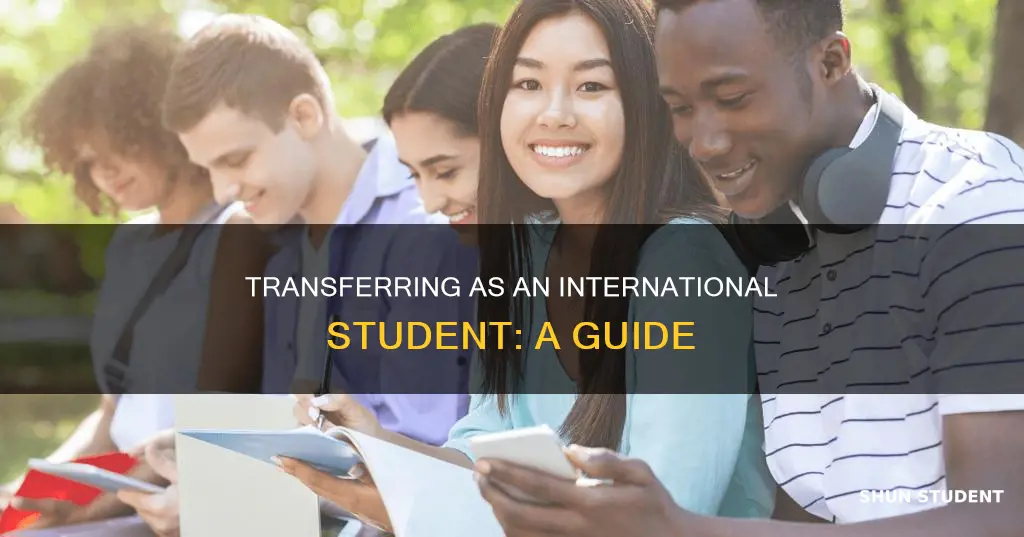 how to transfer as an international student
