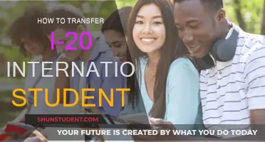 Transferring as an International Student: I-20 Form Guide