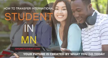 Transferring as an International Student in Minnesota