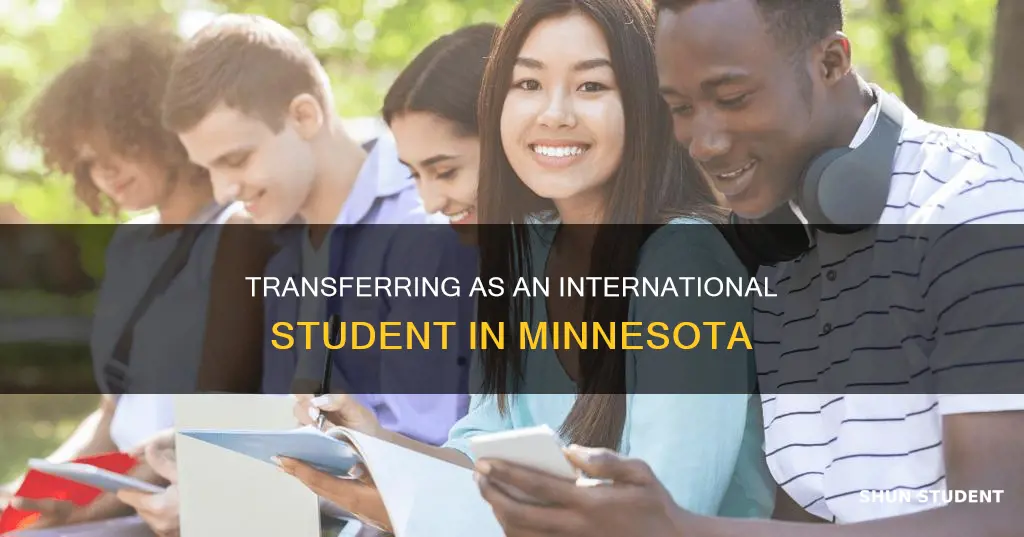 how to transfer international students in mn